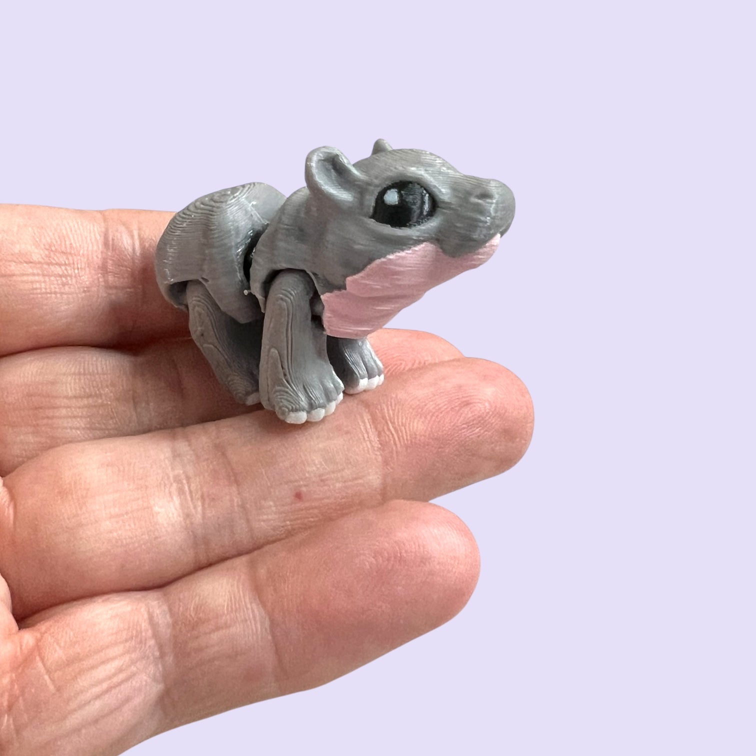 Pebble the Pocket Rhino