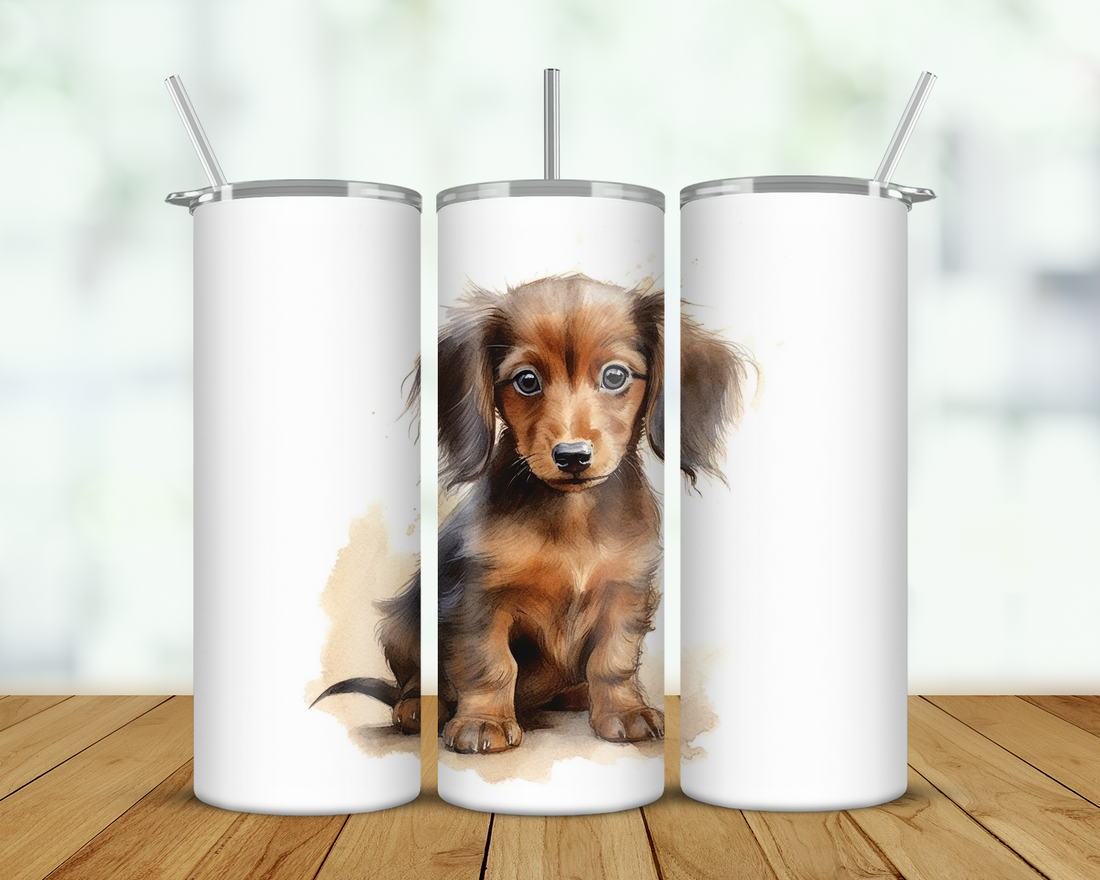 Dachshund Double Walled Tumbler