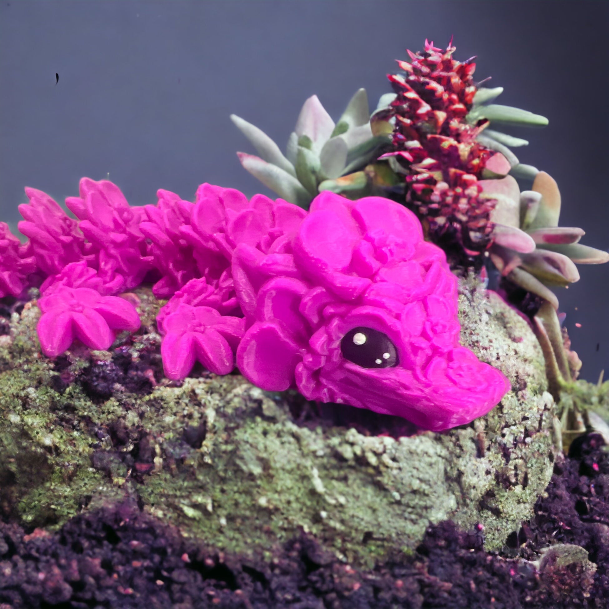 Baby Orchid Dragon