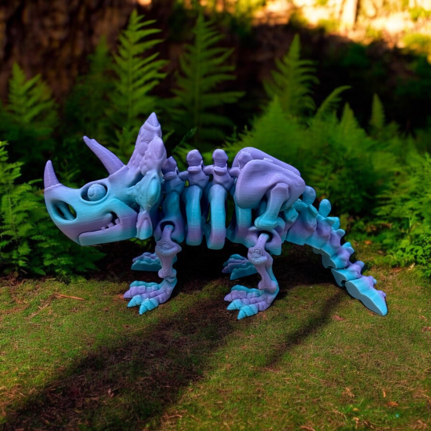 Trika the Skeleton Triceratops