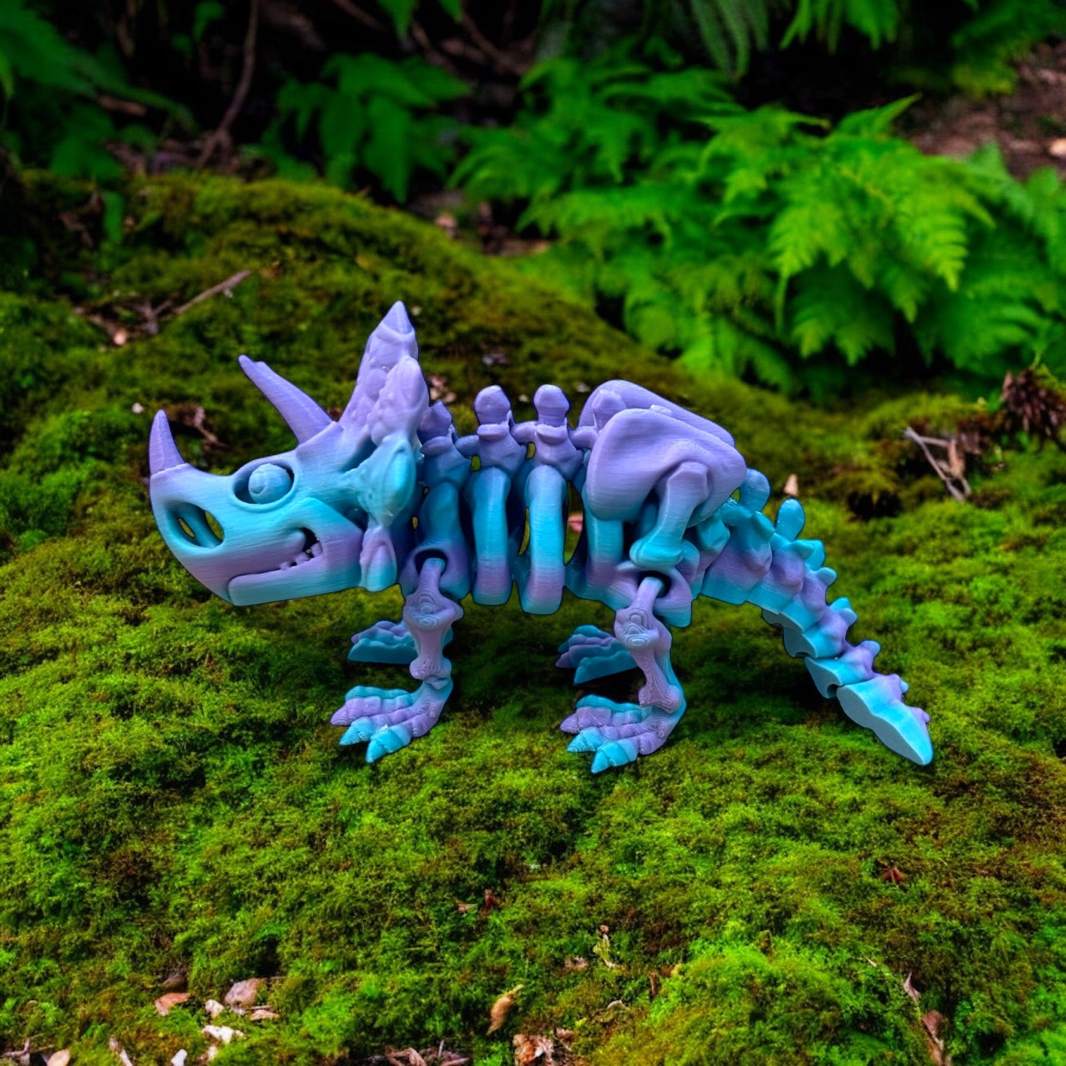 Trika the Skeleton Triceratops