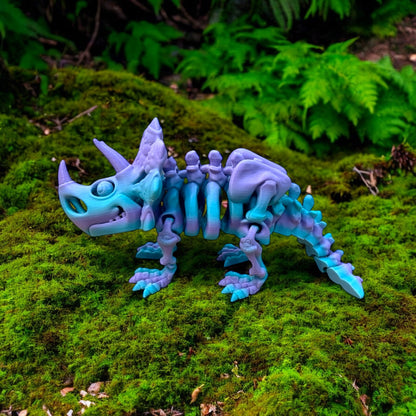 Trika the Skeleton Triceratops