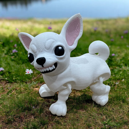 Bella & Diablo – The Chihuahua Duo