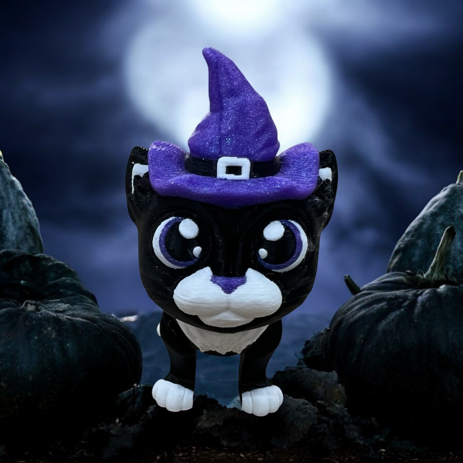 Hexley the Witch Cat