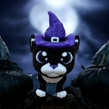 Hexley the Witch Cat