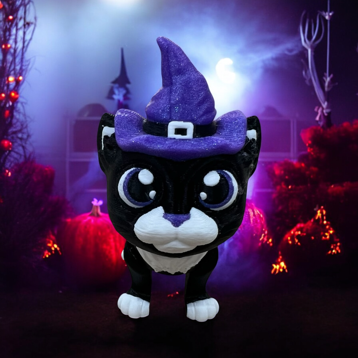 Hexley the Witch Cat