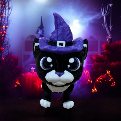 Hexley the Witch Cat