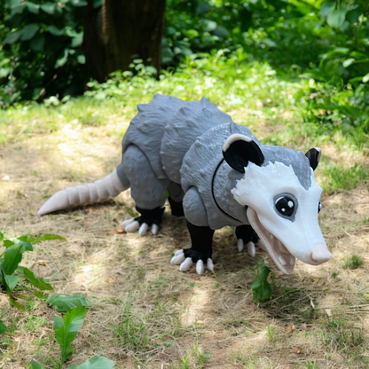 Opossum