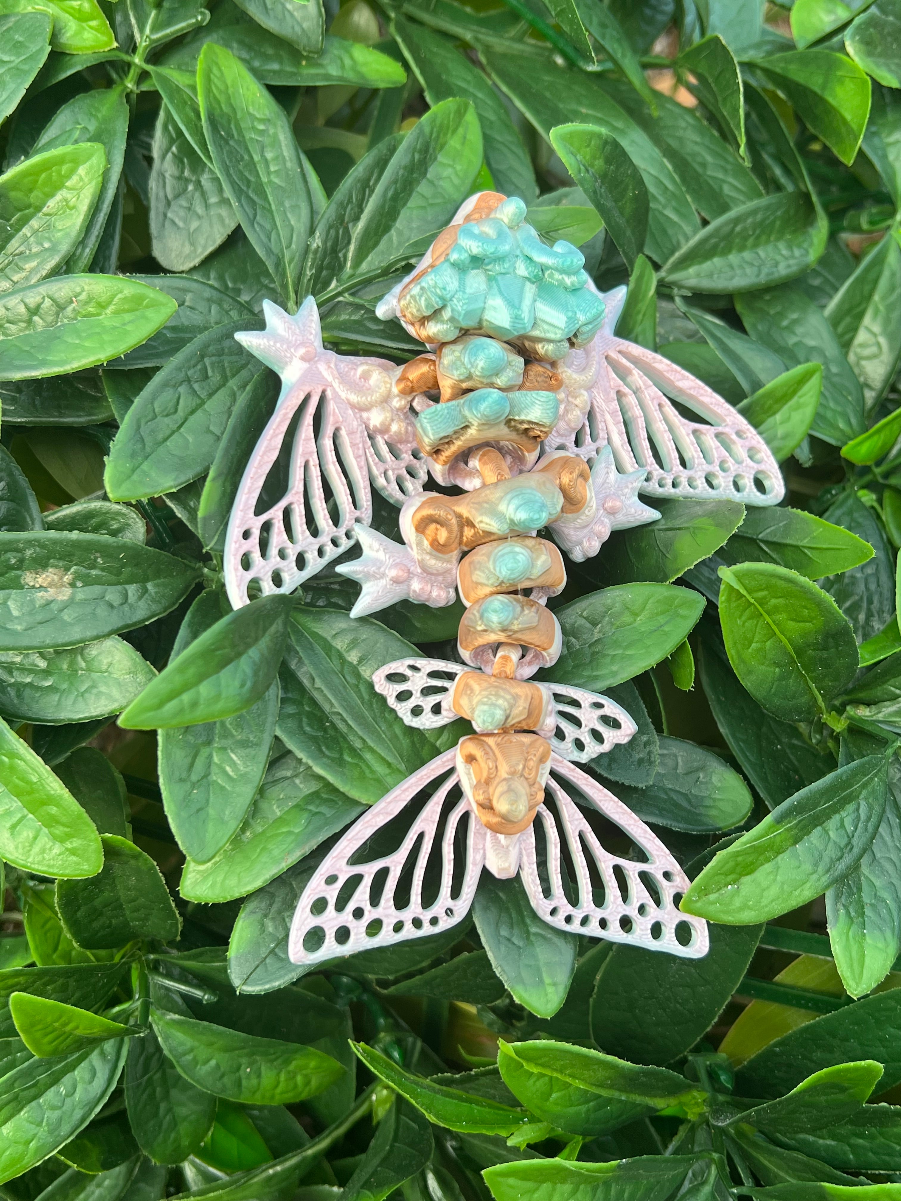 Butterfly Wyvern