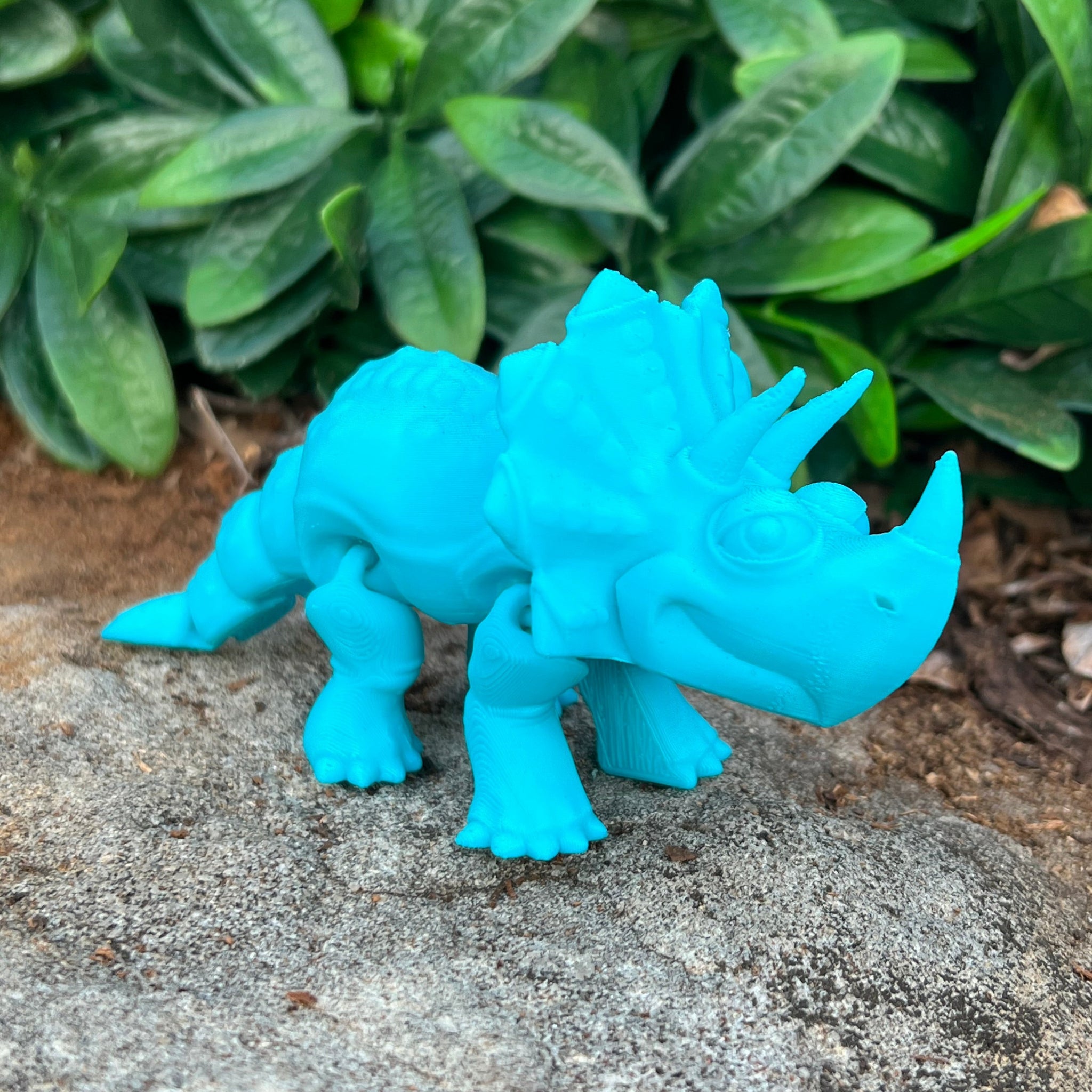 Cute Triceratops