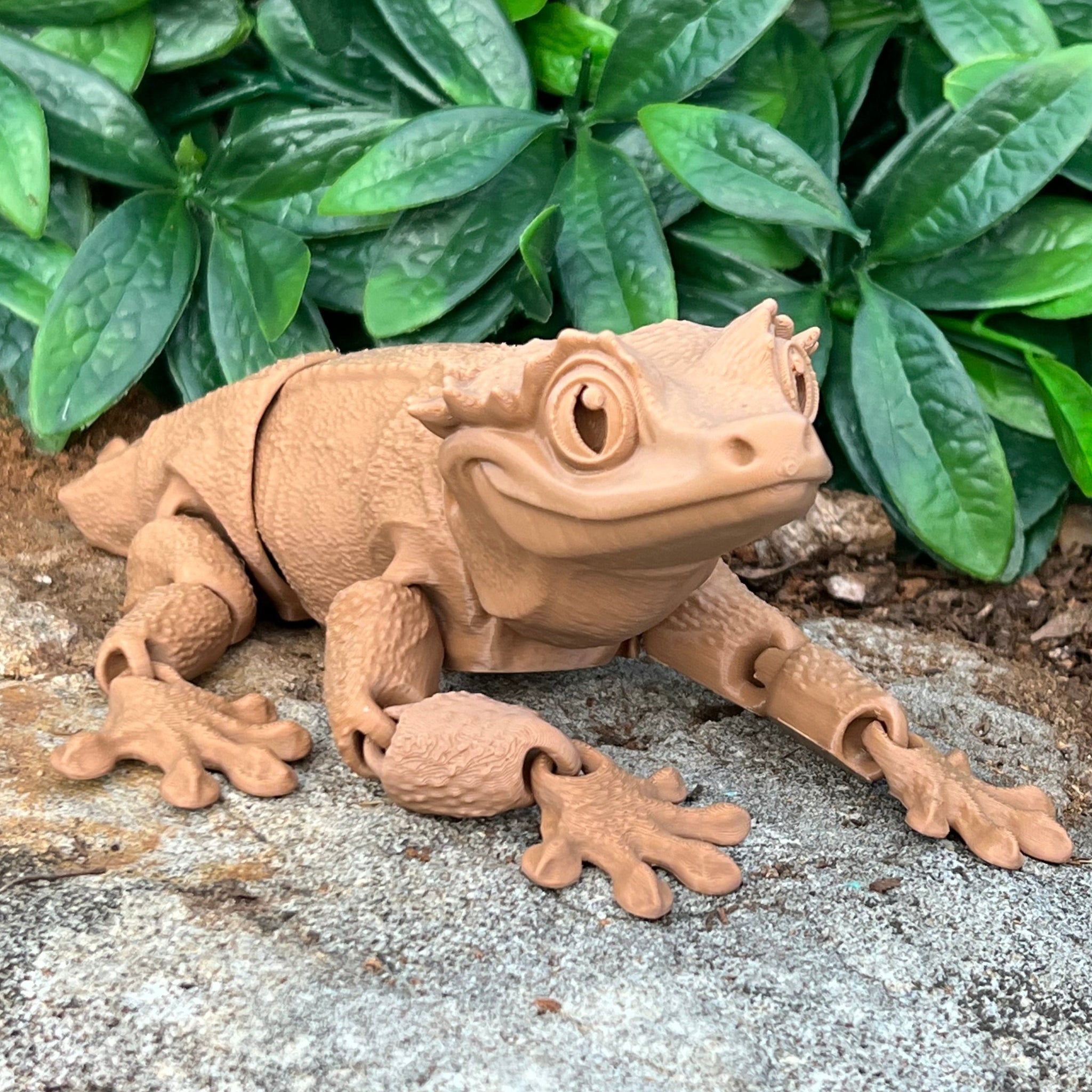 Gargoyle Gecko