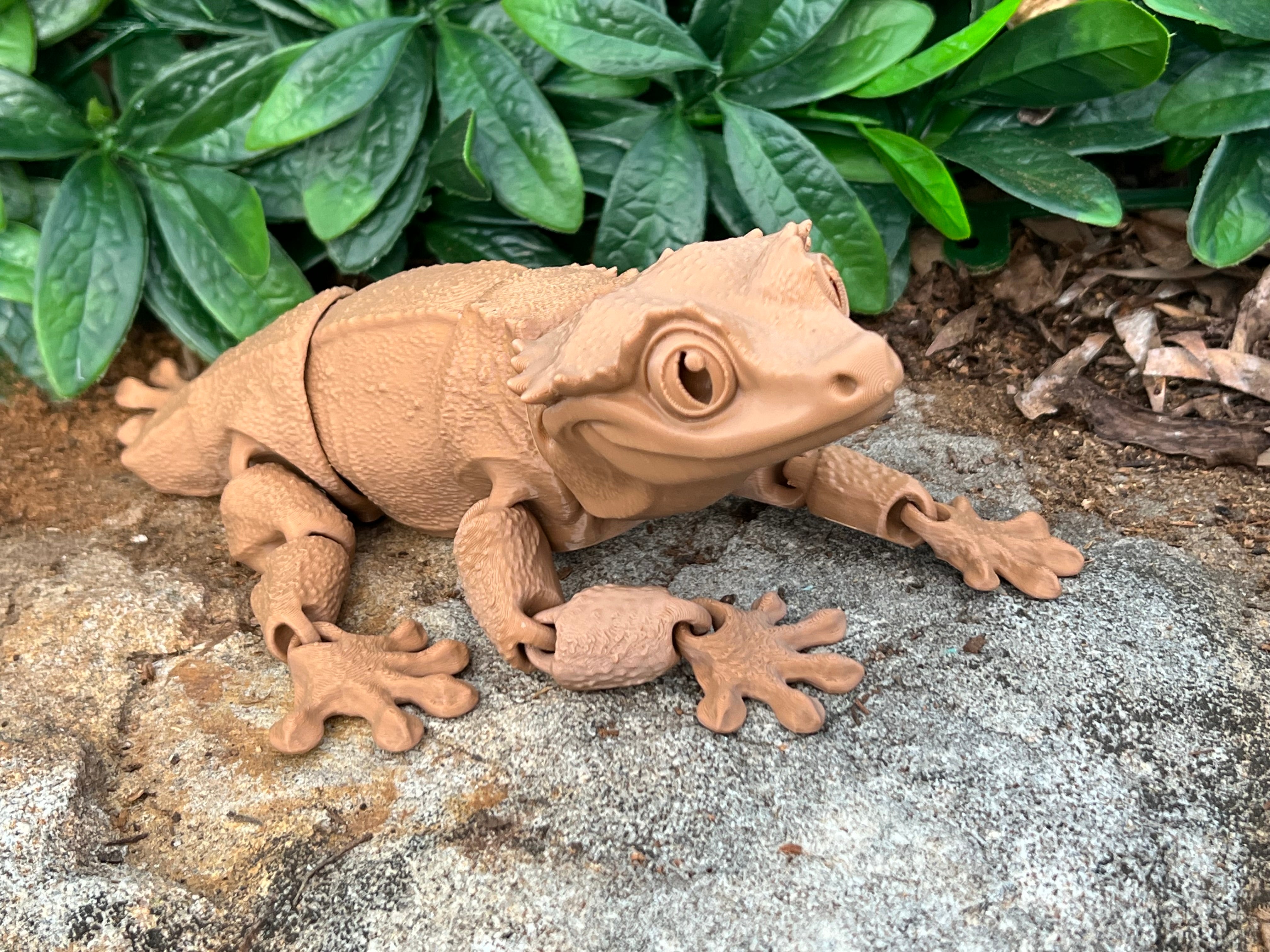 Gargoyle Gecko