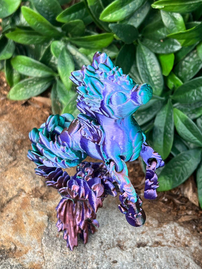 Hippocampus Sea Horse