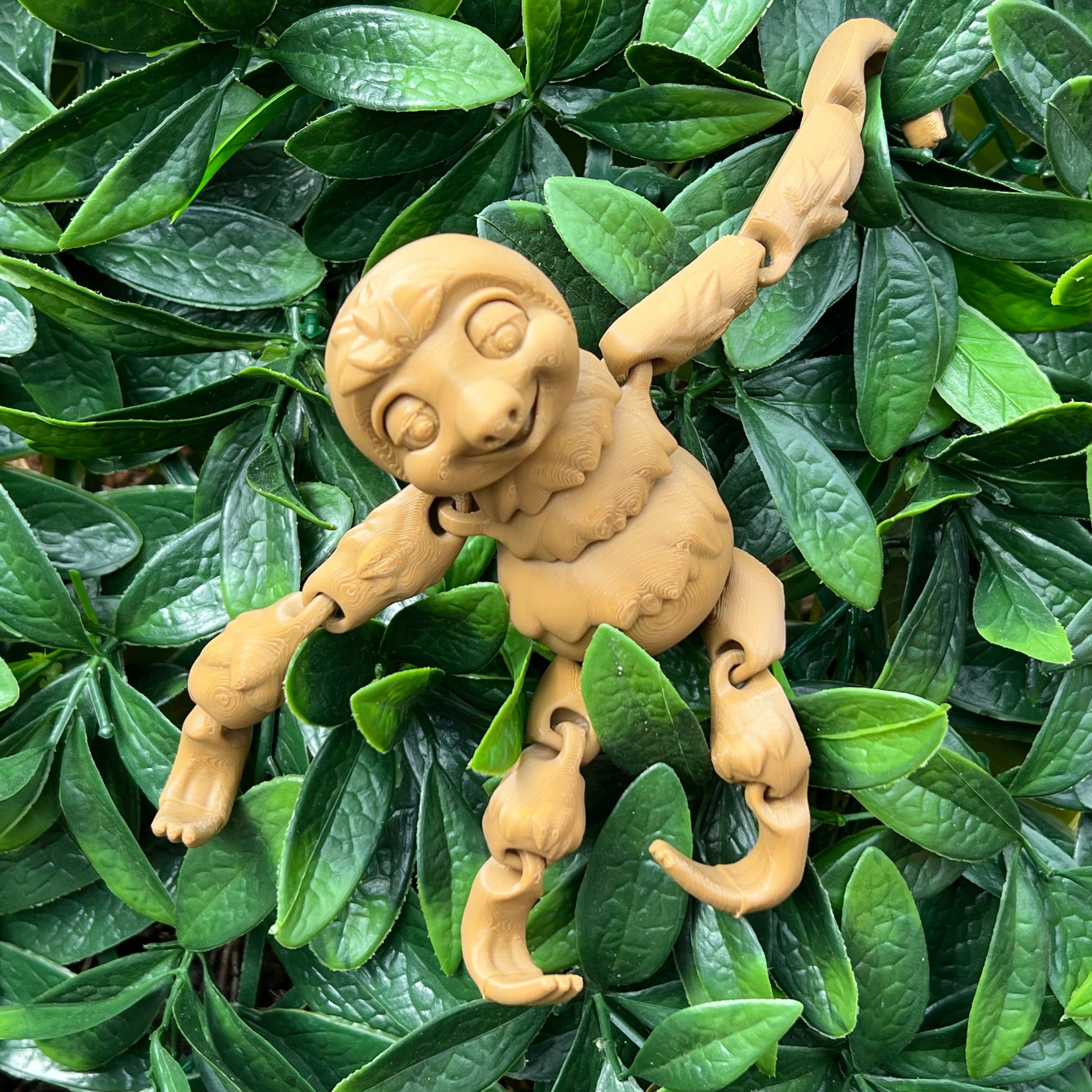 Sloth