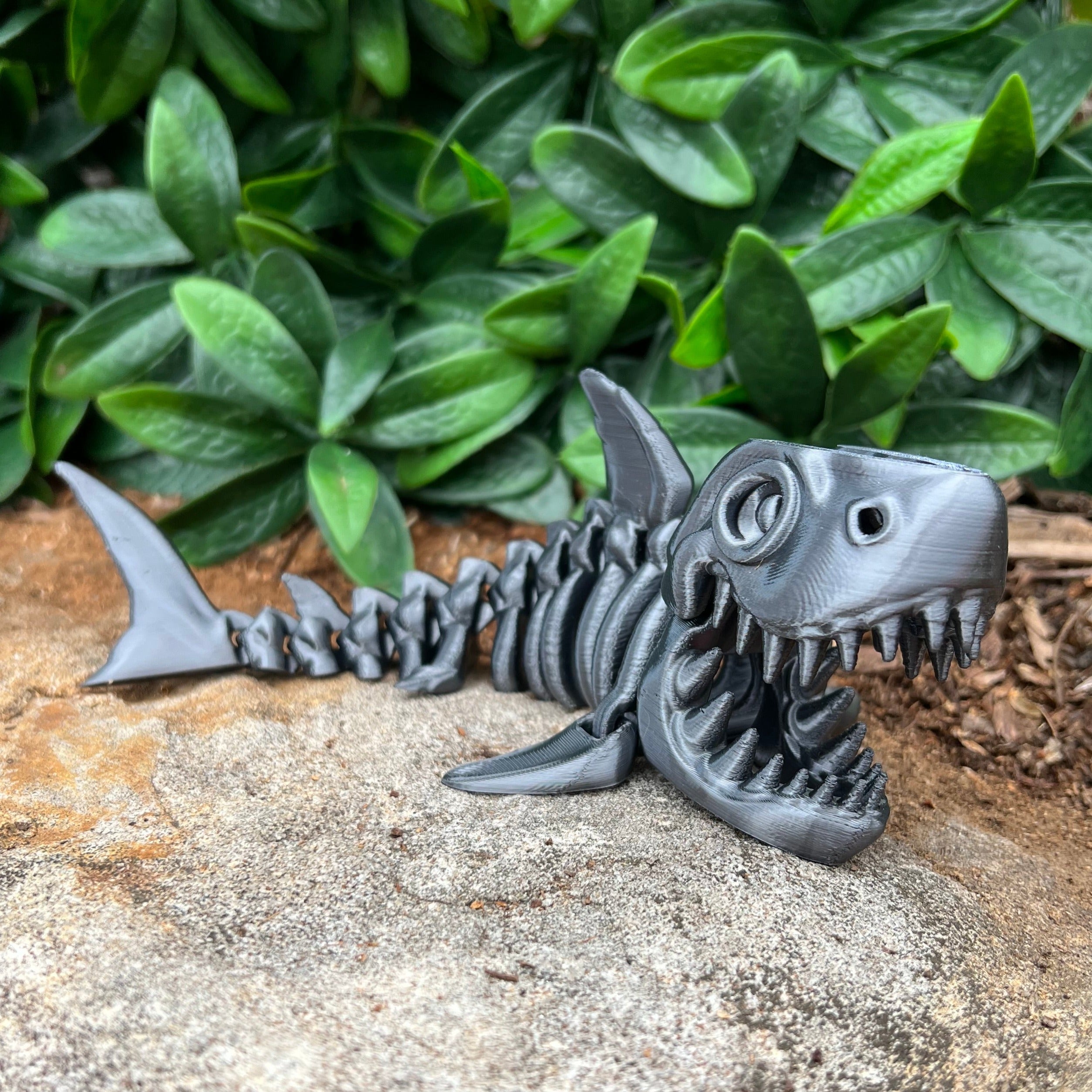 Skeleton Shark