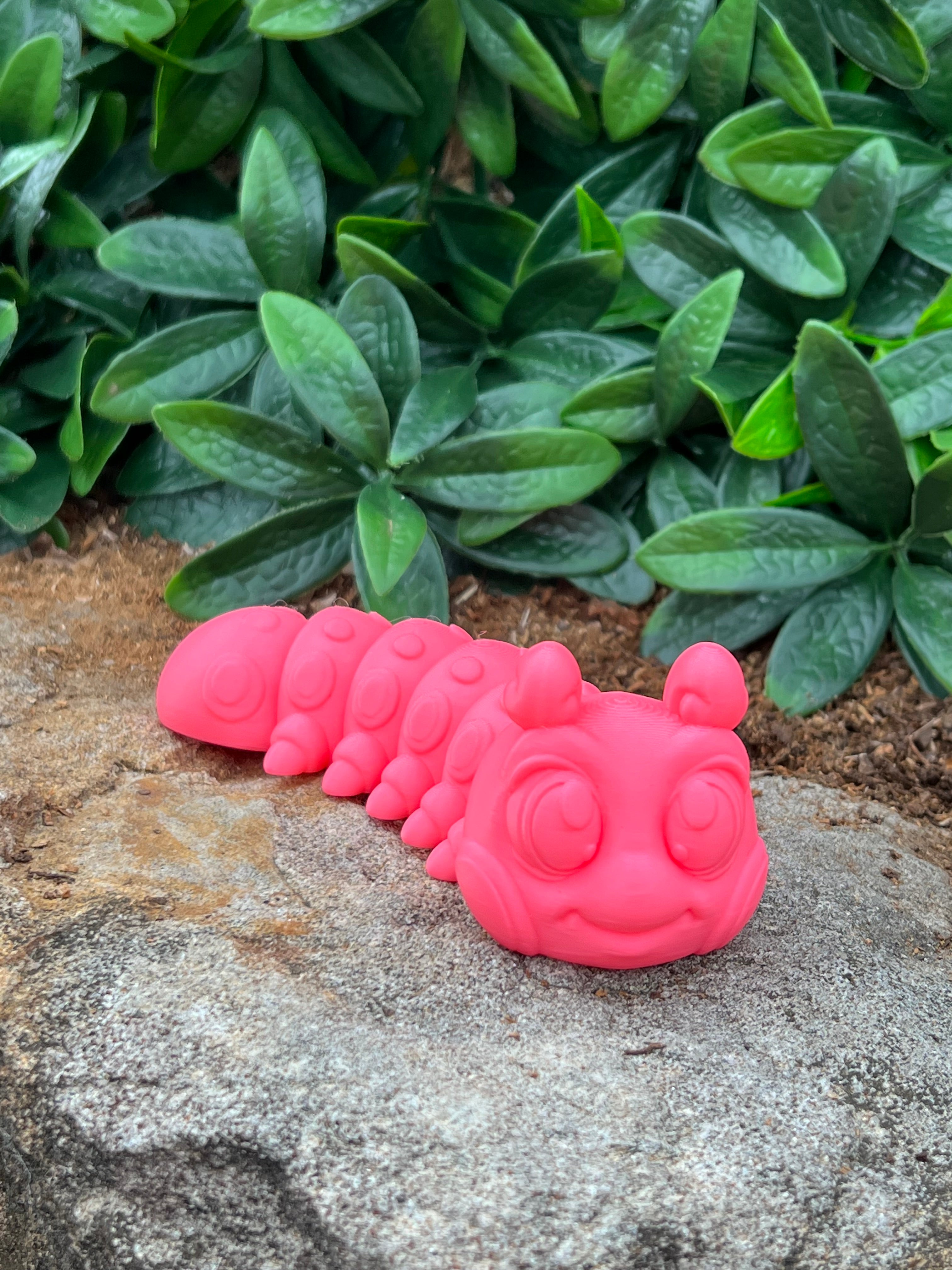 Caterpillar Cutie