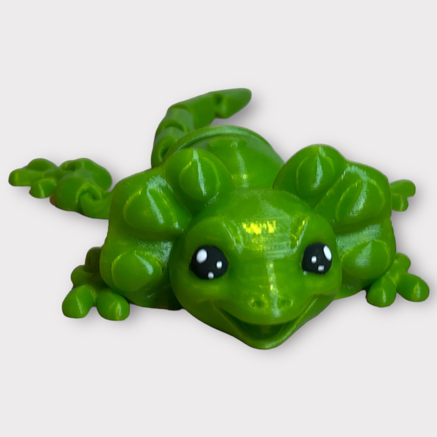 Frilled Neck Lizard Cutie