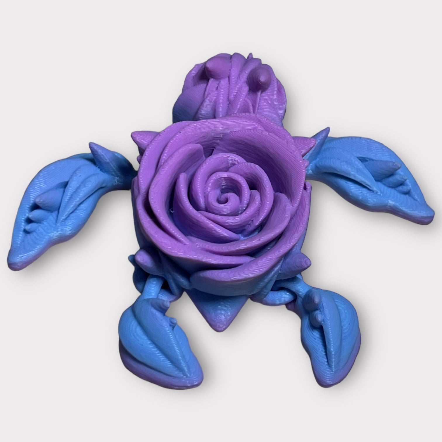 Rose Turtle