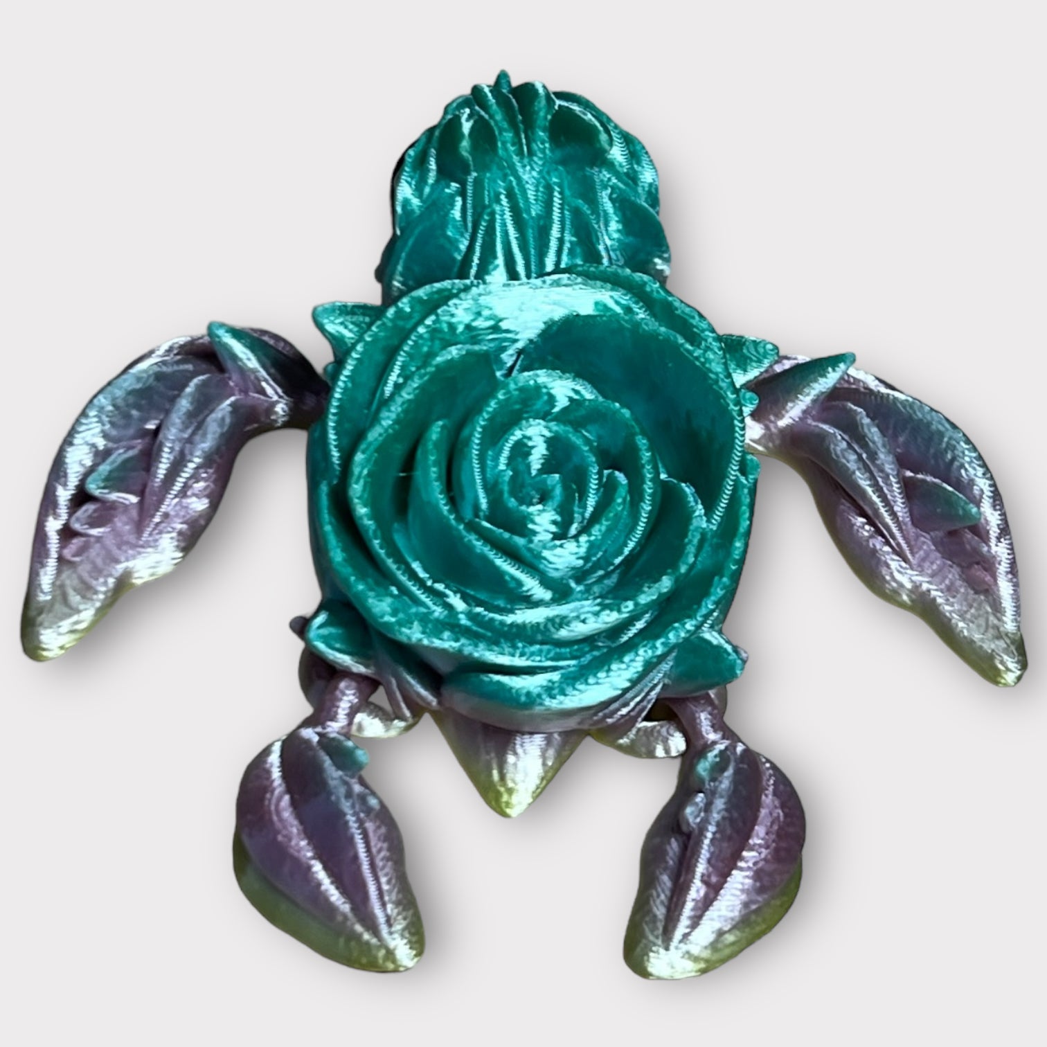 Rose Turtle