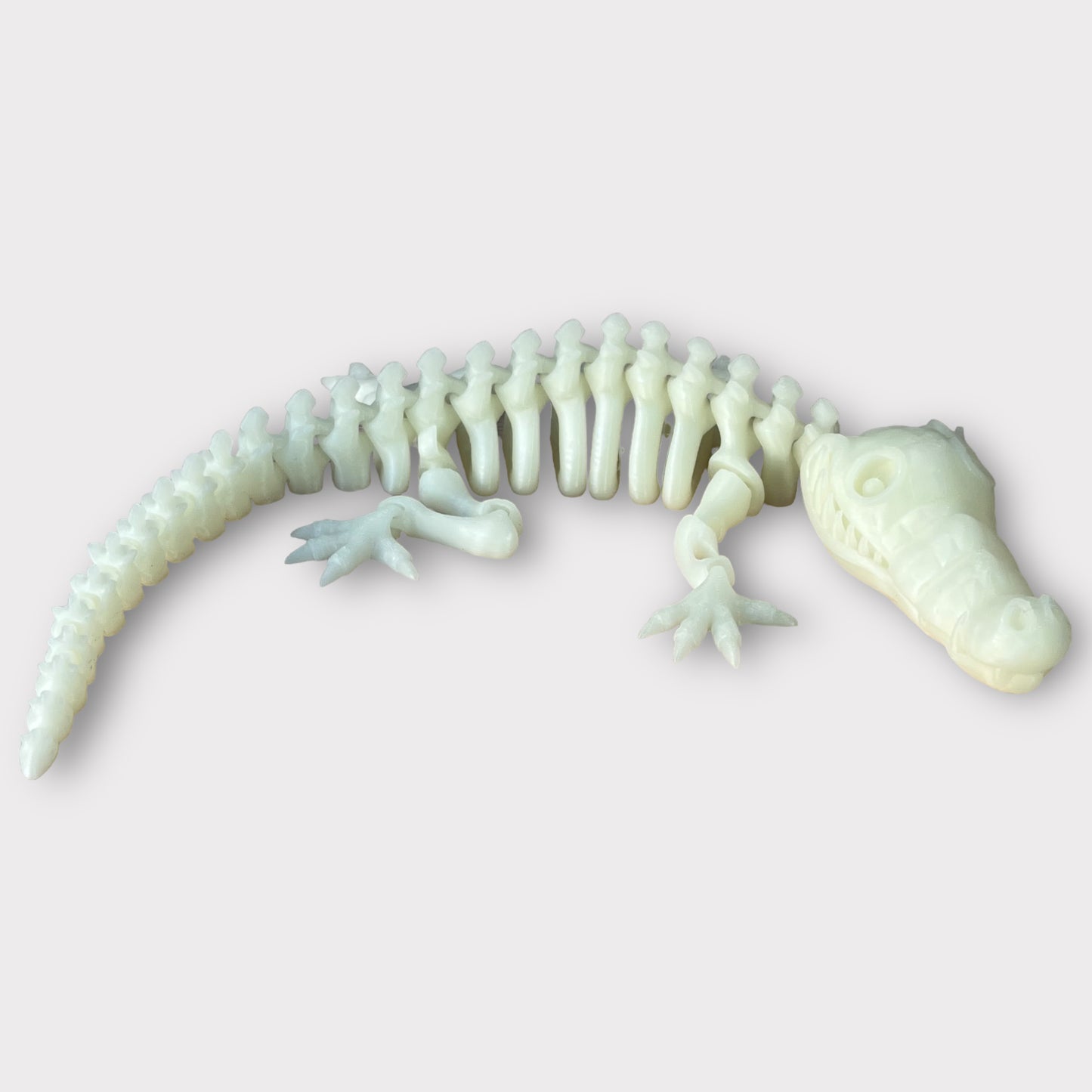 Skeleton Crocodile