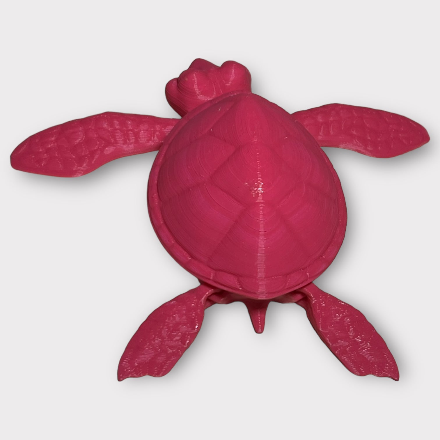 Sea Turtle