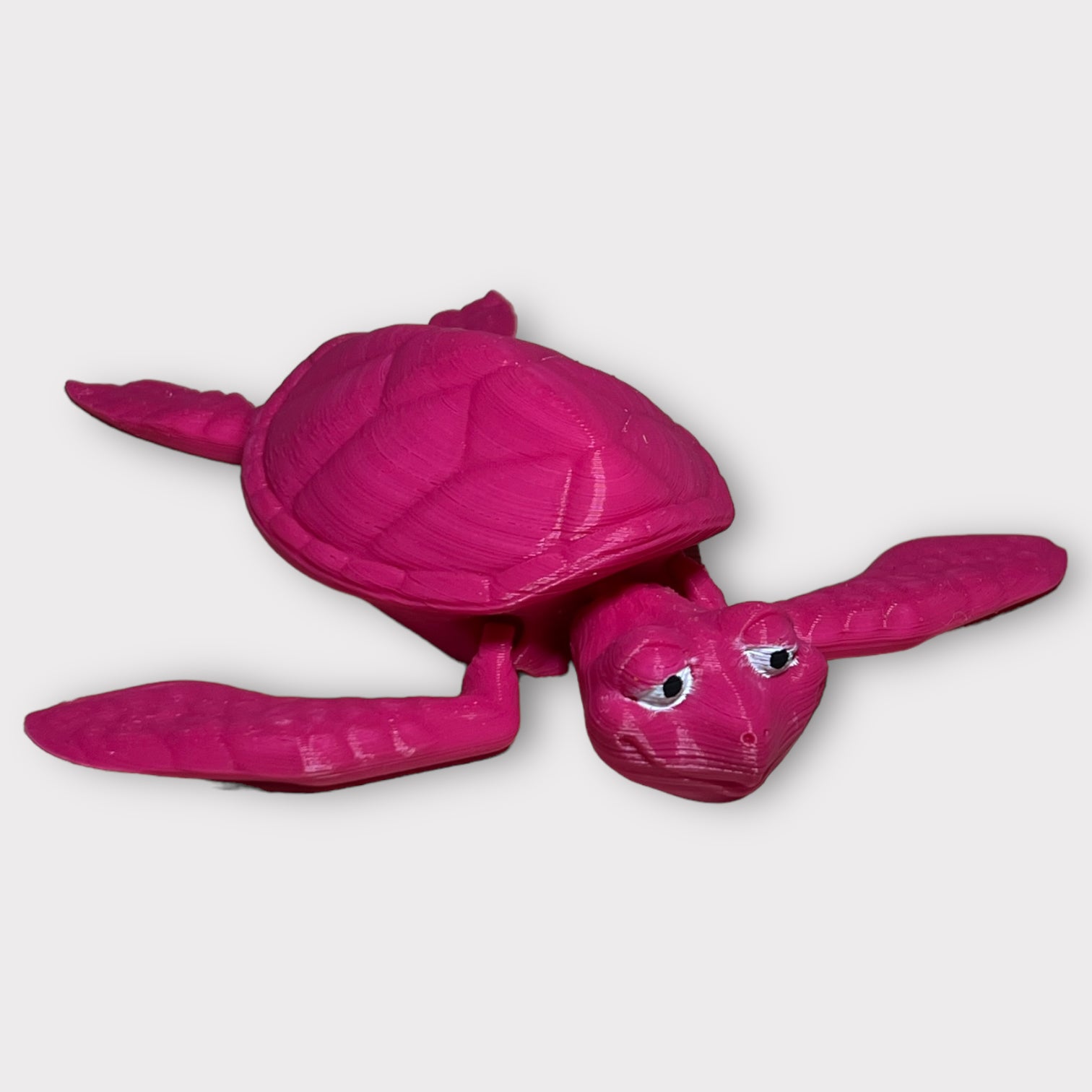 Sea Turtle