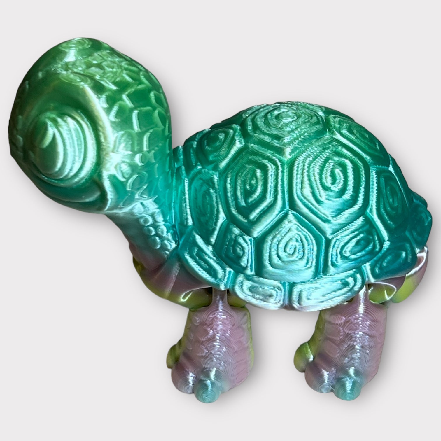 Turtle