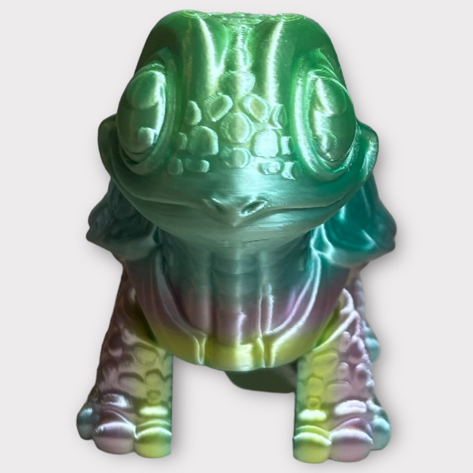 Turtle
