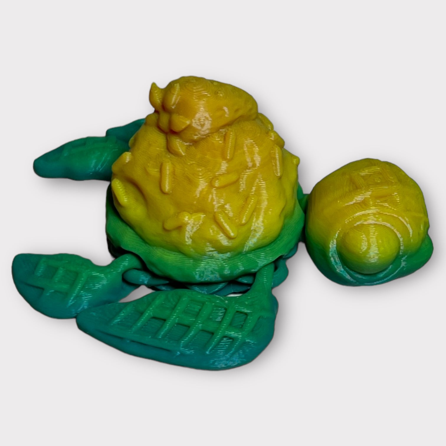 Desert Turtle