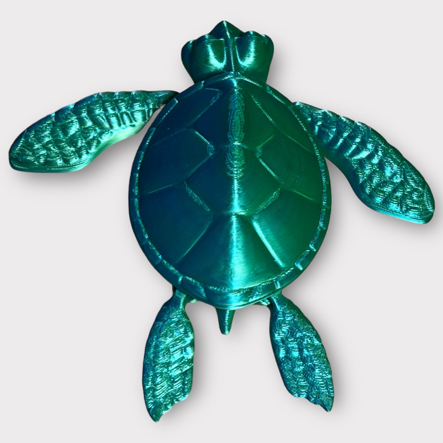 Sea Turtle