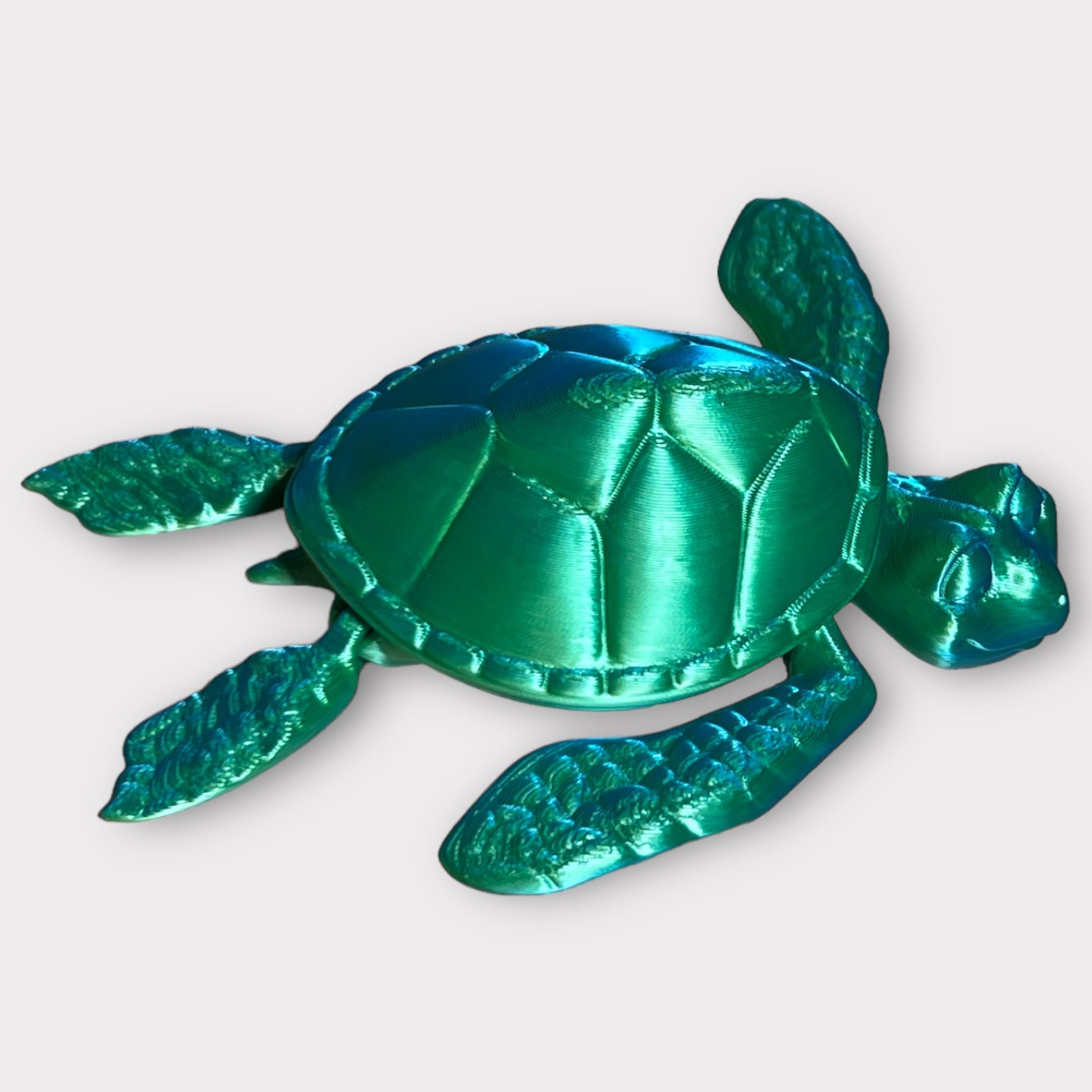 Sea Turtle