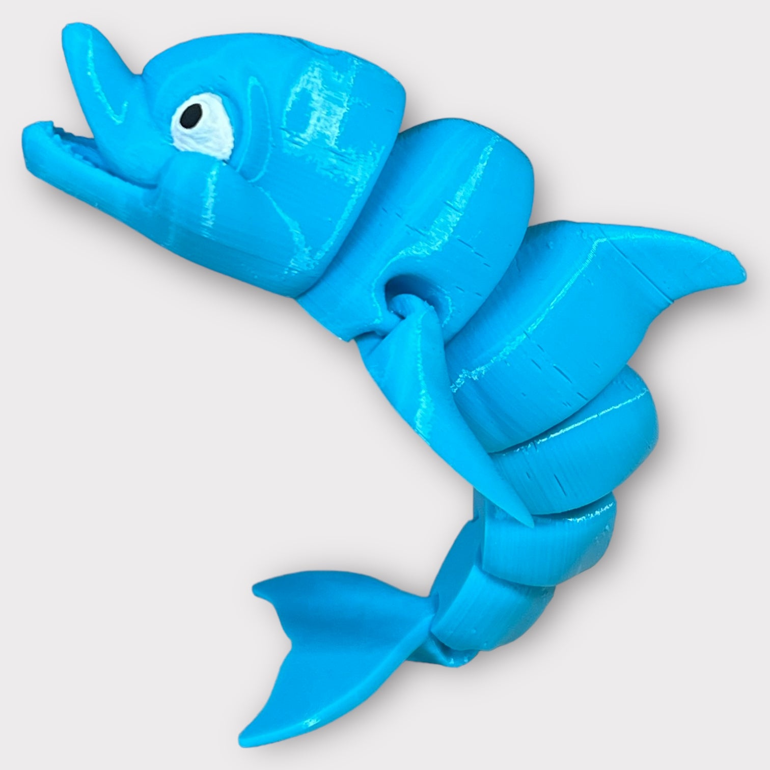 Dolphin
