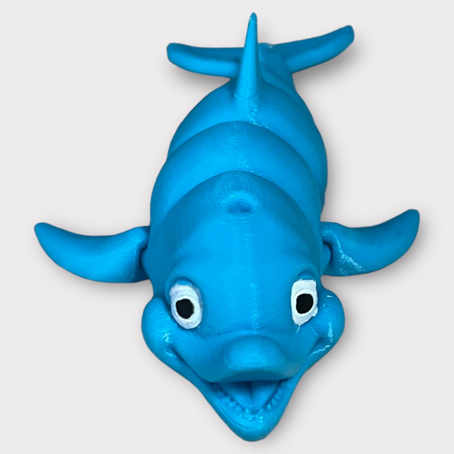 Dolphin