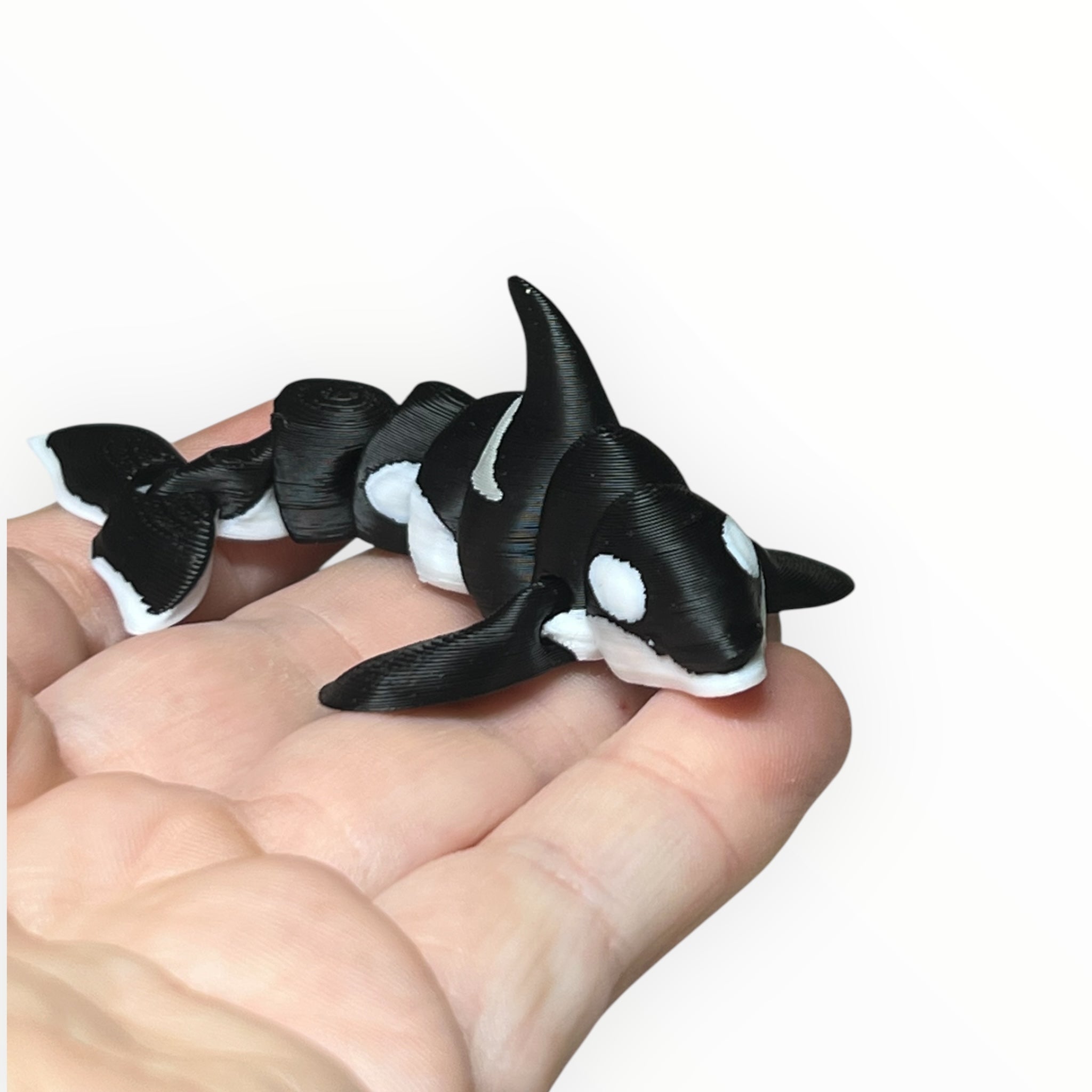 Splash the Orca Mini