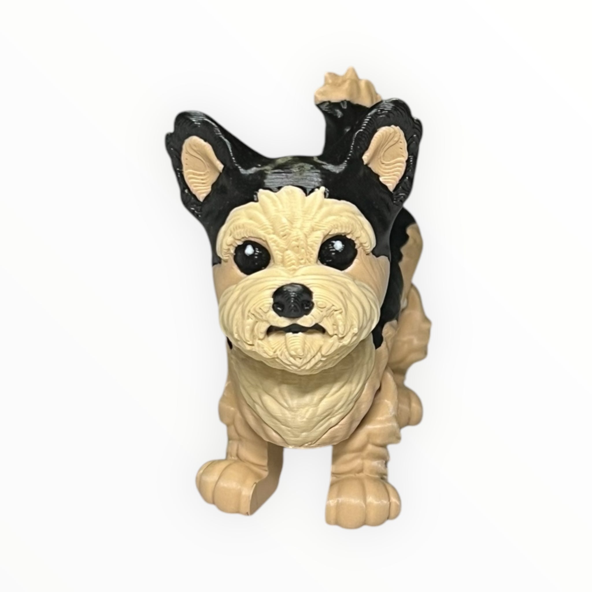 Toto the Yorkshire Terrier (Yorkie)