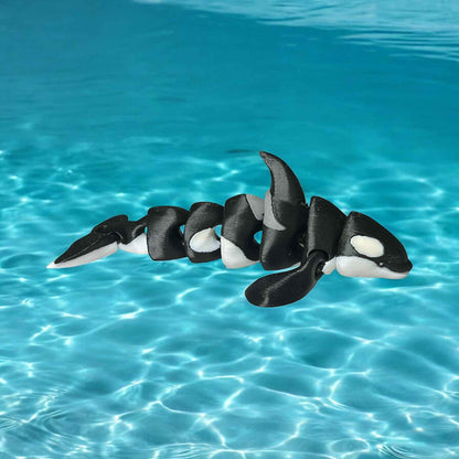 Kona the Orca