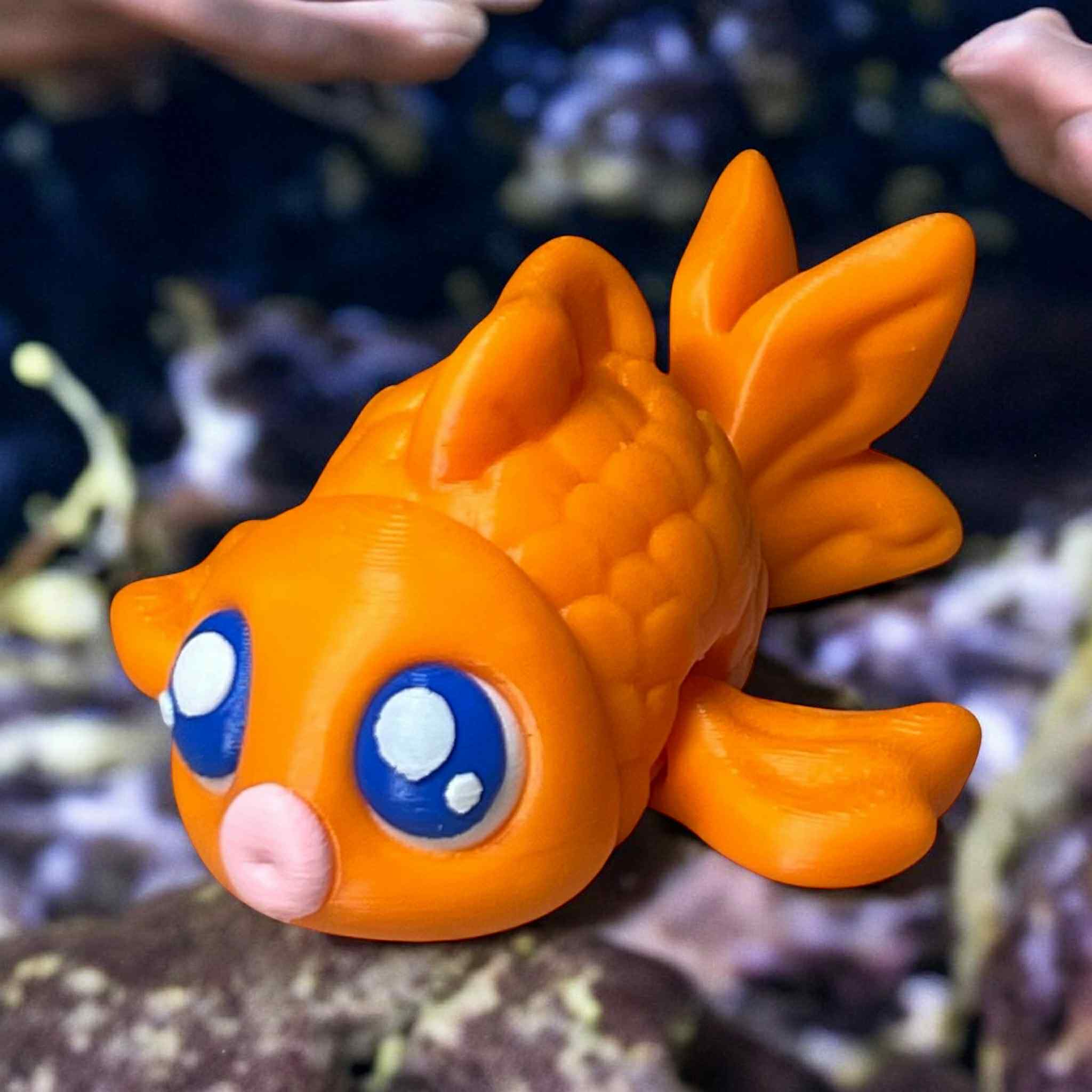 Bubbles the Goldfish